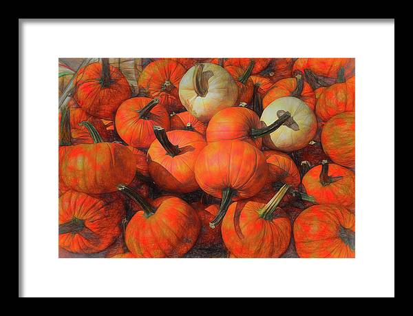 Fall Pumpkin Pile - Framed Print