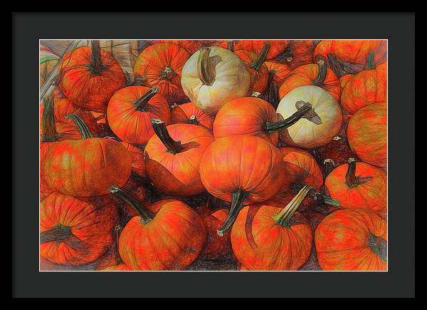 Fall Pumpkin Pile - Framed Print