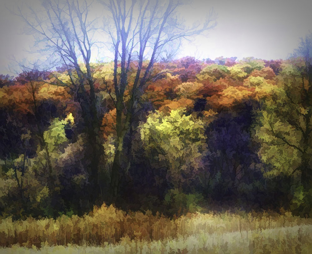 Fall Abstract Landscape Digital Image Download