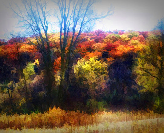Fall Abstract Landscape Digital Image Download