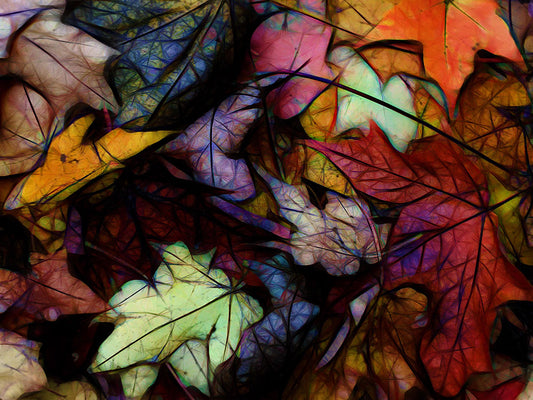 Fall leaves Abstract Digital Image Download