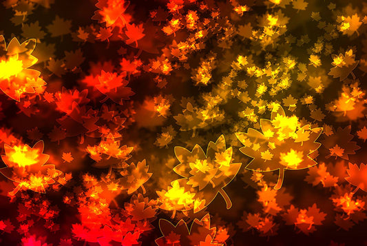 Fall Leaves In Bokeh Light Digital Image Download