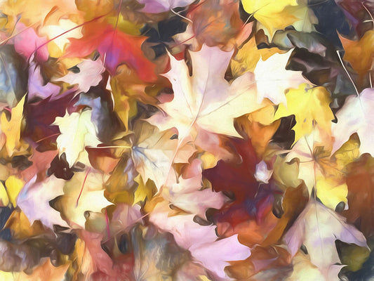 Fall Leaves Bright Digital Image Download