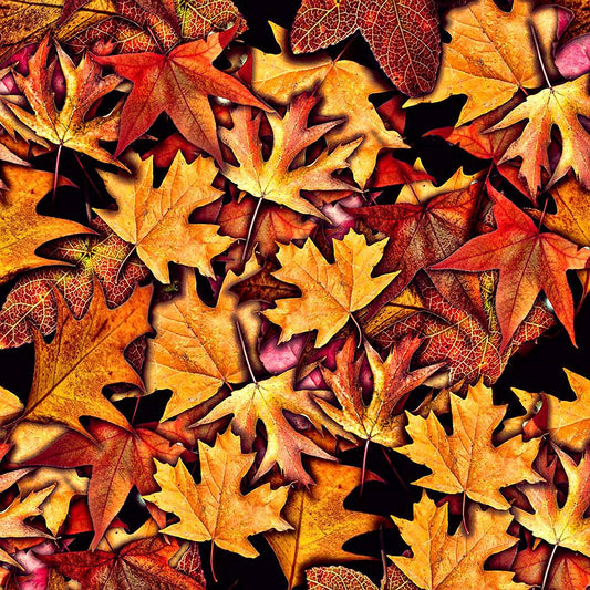 Fall Leaves Pattern