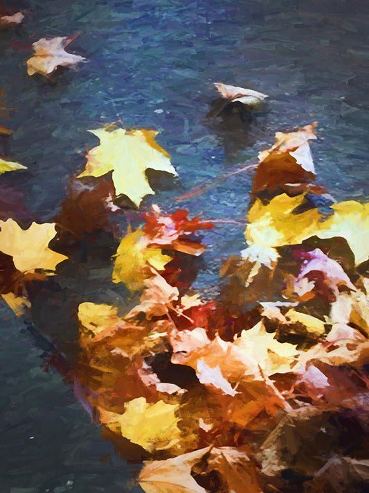 Fall leaves Sidewalk Digital Image Download