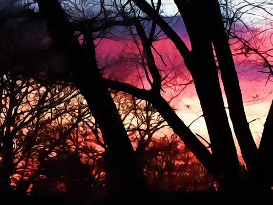 Fall Sunset Through The Trees Digital Image Download