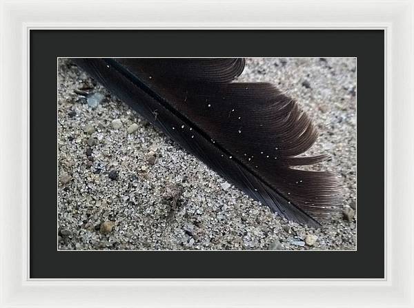 Feather On The Beach - Framed Print