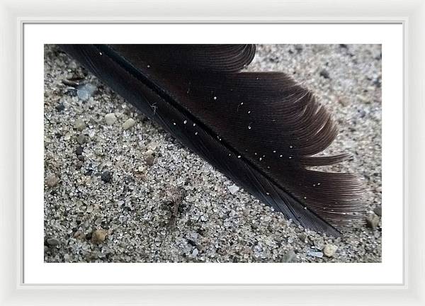 Feather On The Beach - Framed Print