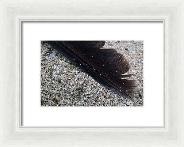 Feather On The Beach - Framed Print