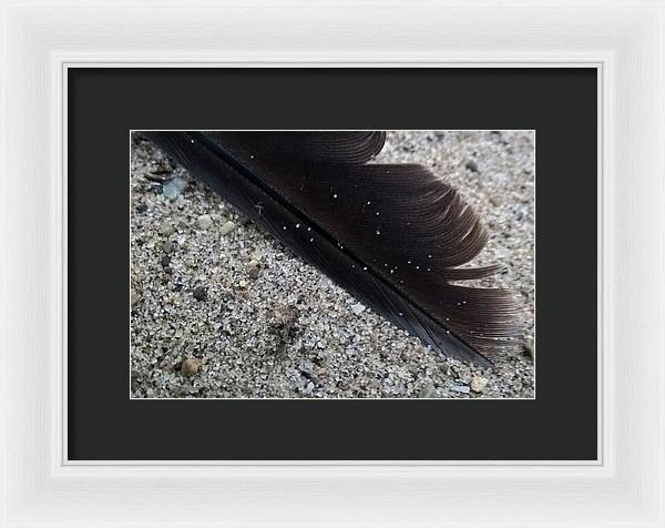 Feather On The Beach - Framed Print