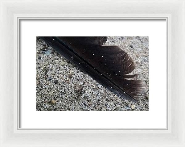 Feather On The Beach - Framed Print