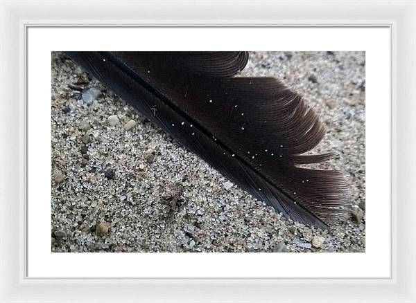 Feather On The Beach - Framed Print