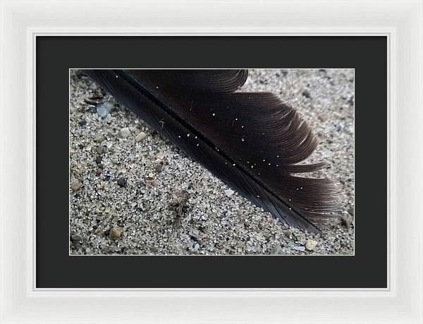 Feather On The Beach - Framed Print