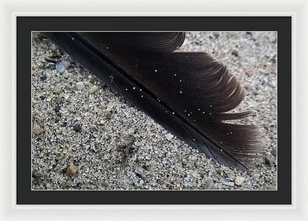 Feather On The Beach - Framed Print