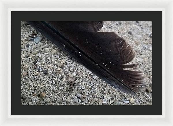 Feather On The Beach - Framed Print