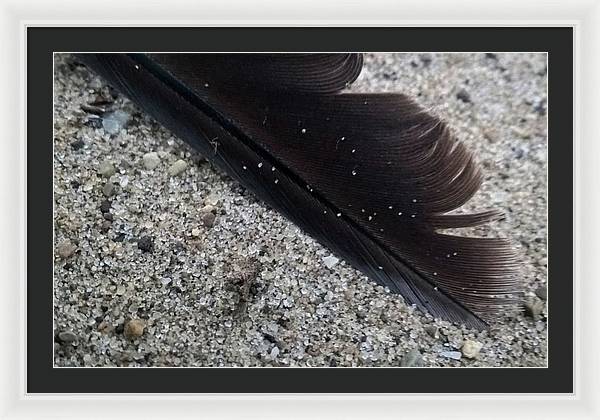 Feather On The Beach - Framed Print