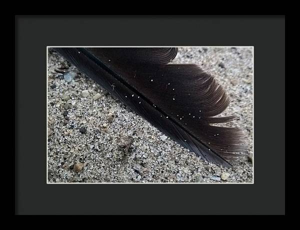 Feather On The Beach - Framed Print