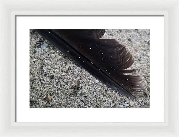 Feather On The Beach - Framed Print