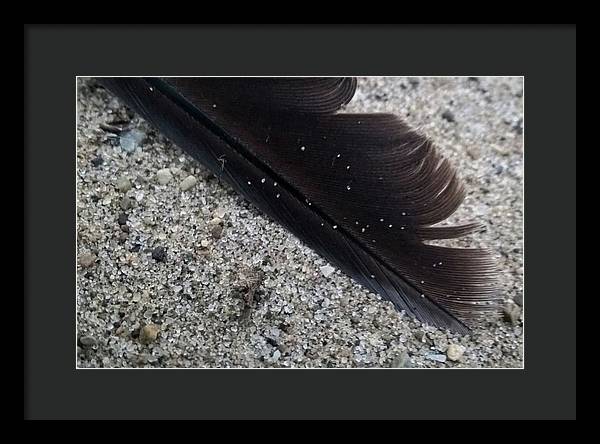 Feather On The Beach - Framed Print