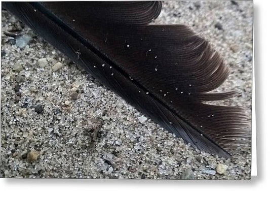Feather On The Beach - Greeting Card