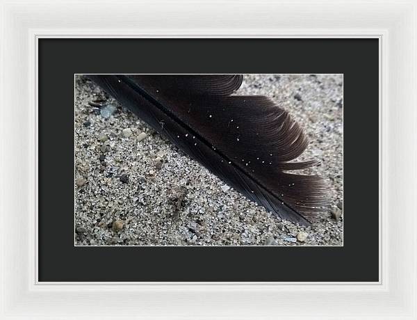 Feather On The Beach - Framed Print