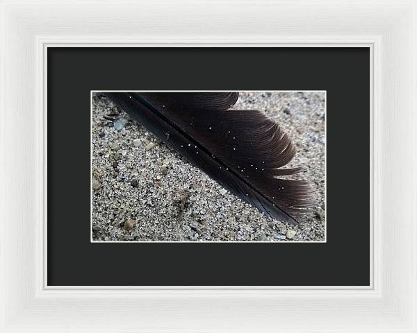 Feather On The Beach - Framed Print