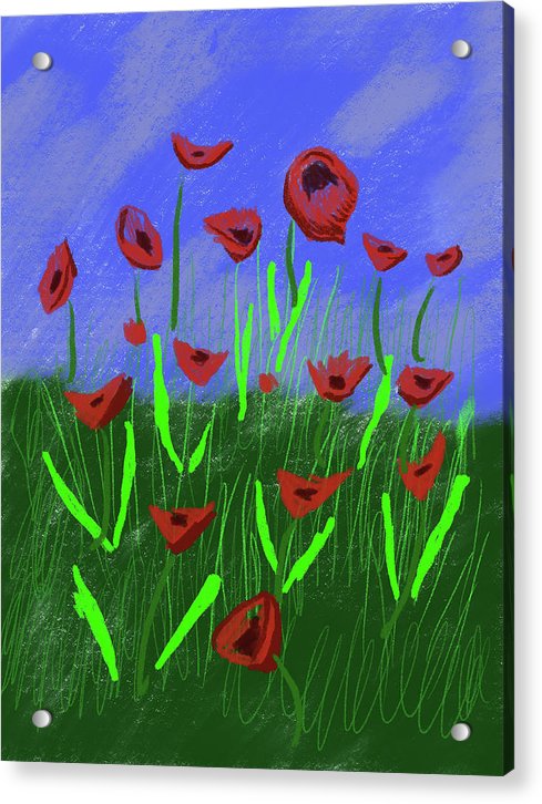 Field Of Poppies - Acrylic Print