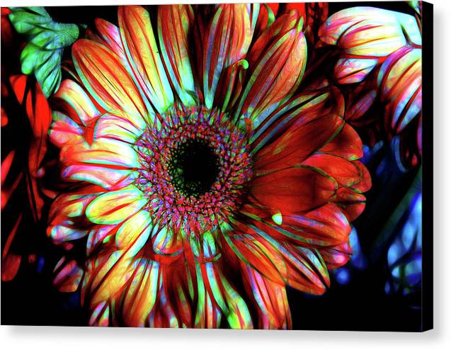 Flowers 133 - Canvas Print