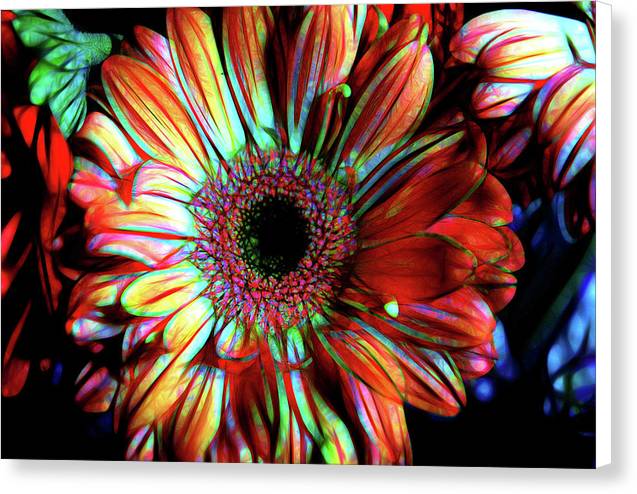 Flowers 133 - Canvas Print