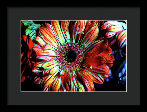 Flowers 133 - Framed Print