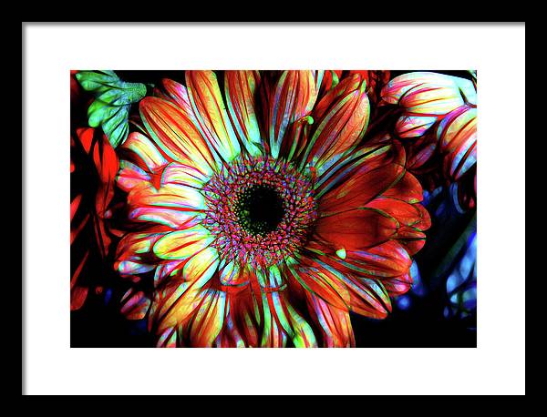 Flowers 133 - Framed Print