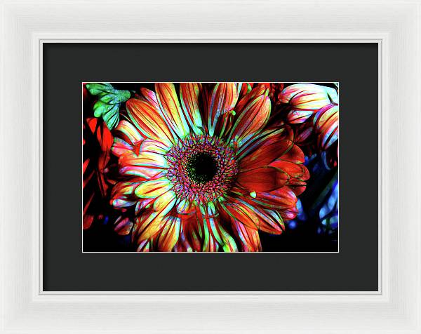 Flowers 133 - Framed Print