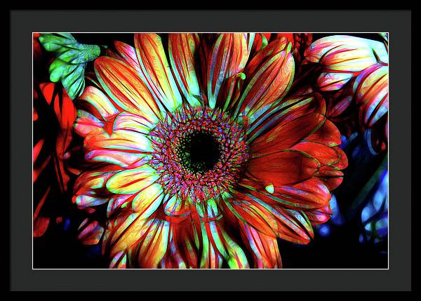 Flowers 133 - Framed Print