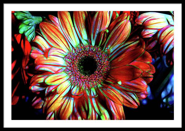 Flowers 133 - Framed Print