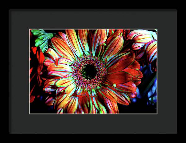 Flowers 133 - Framed Print