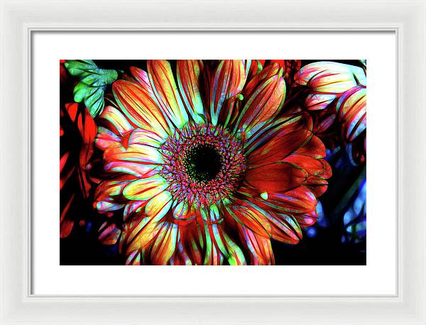 Flowers 133 - Framed Print