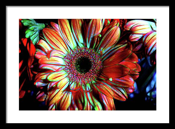 Flowers 133 - Framed Print