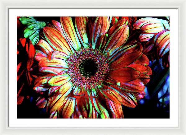 Flowers 133 - Framed Print