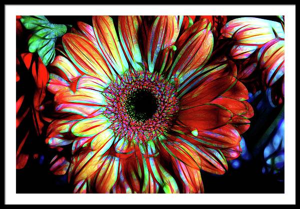 Flowers 133 - Framed Print