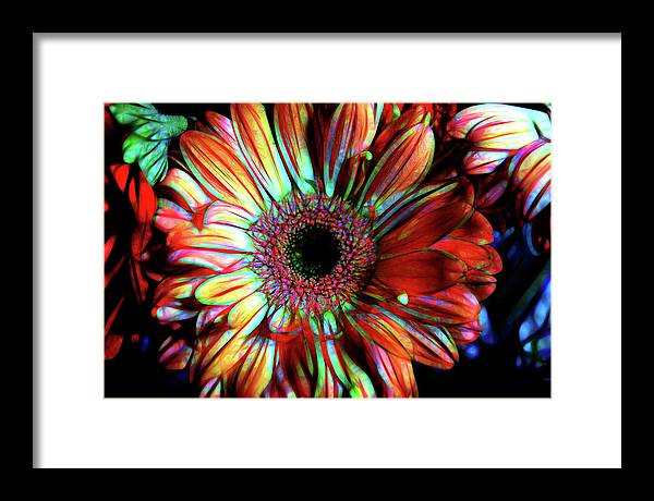 Flowers 133 - Framed Print