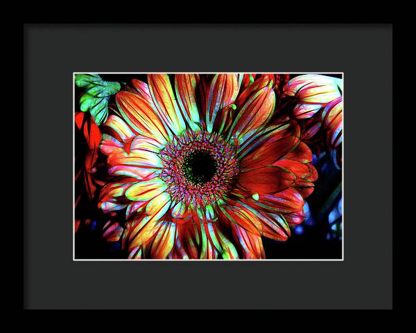 Flowers 133 - Framed Print