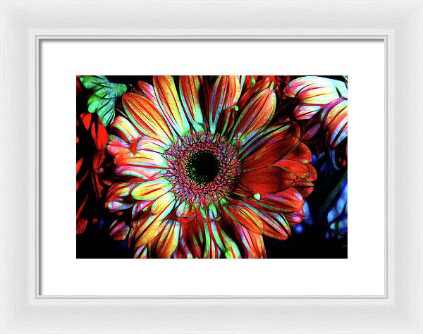 Flowers 133 - Framed Print