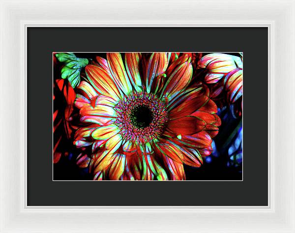 Flowers 133 - Framed Print