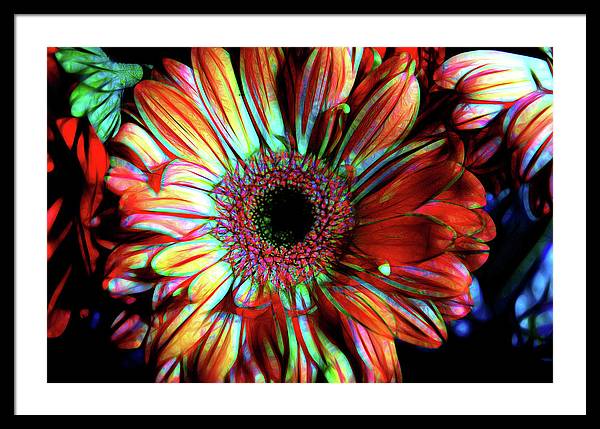 Flowers 133 - Framed Print