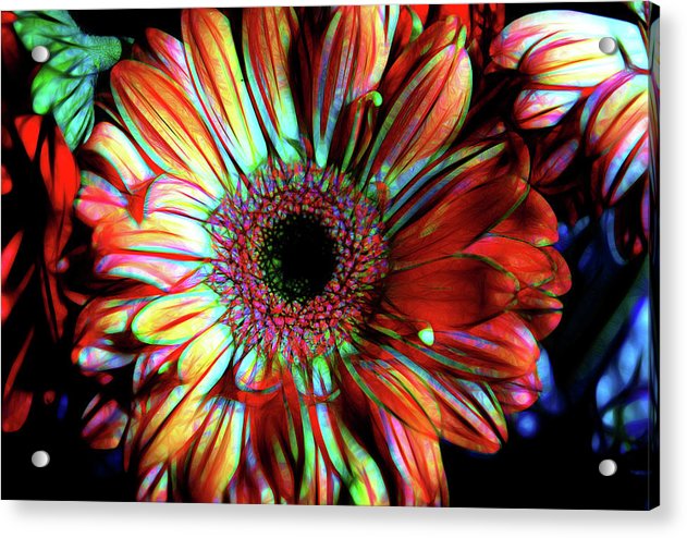 Flowers 133 - Acrylic Print