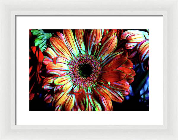 Flowers 133 - Framed Print