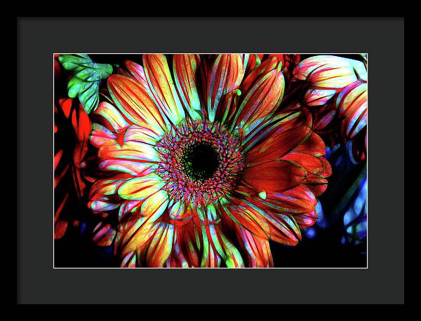 Flowers 133 - Framed Print