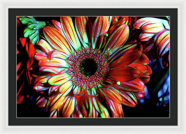 Flowers 133 - Framed Print