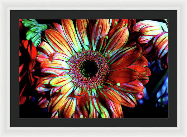 Flowers 133 - Framed Print