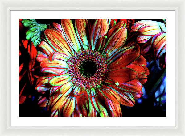 Flowers 133 - Framed Print